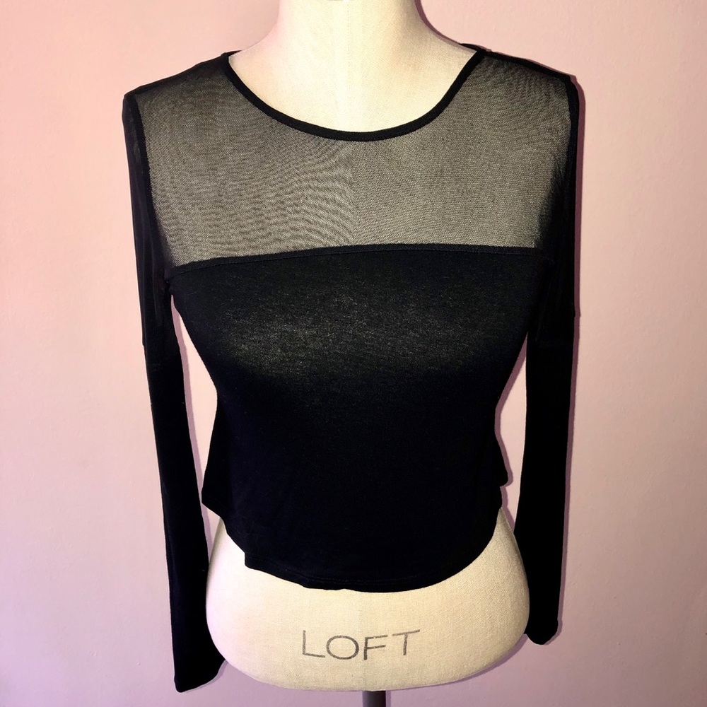 Fashion Nova sheer black crop top